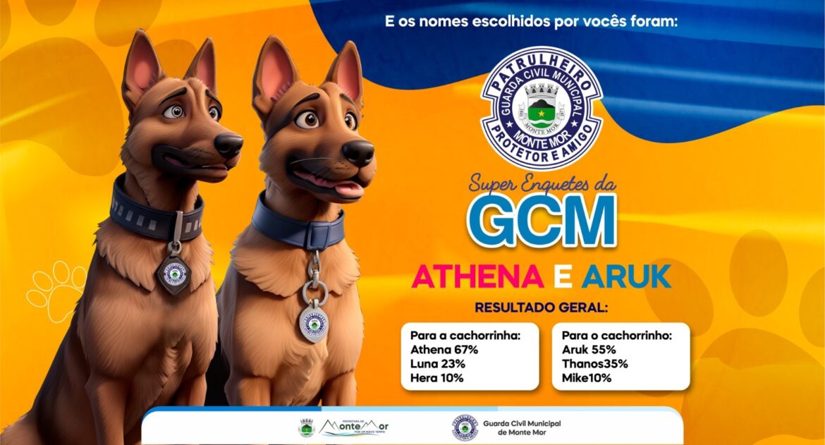 Escolha dos novos cães da Guarda Civil Municipal já foram definidos.